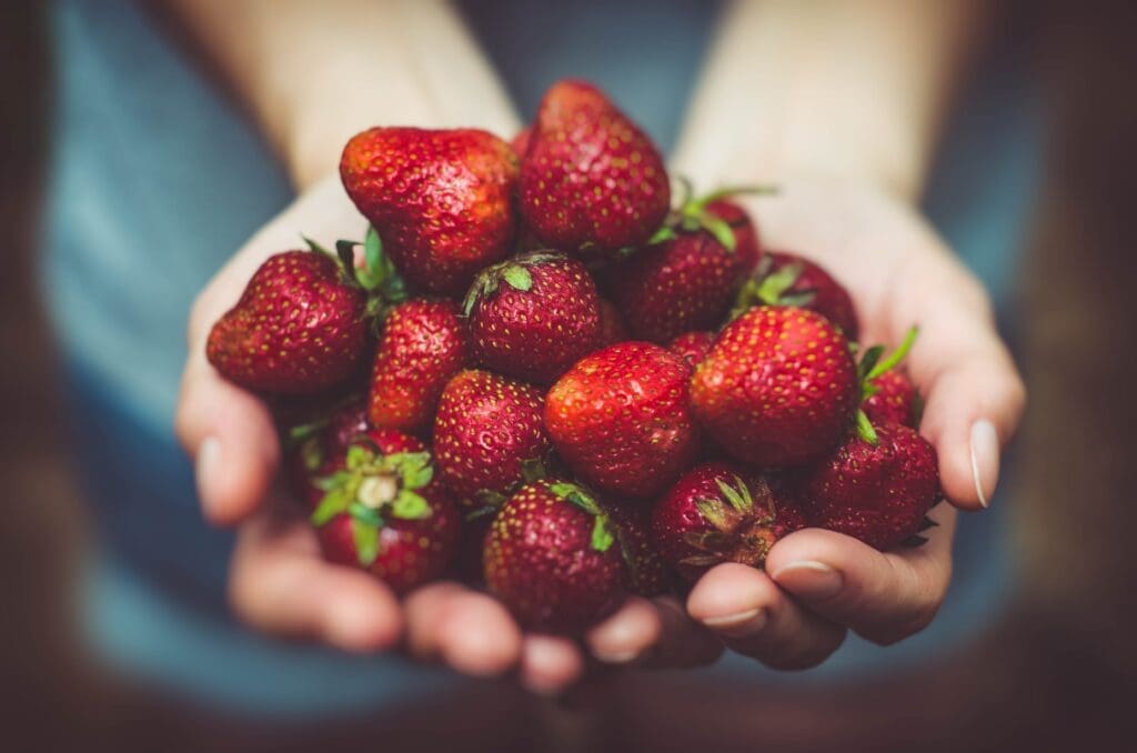 hands holding strawberries