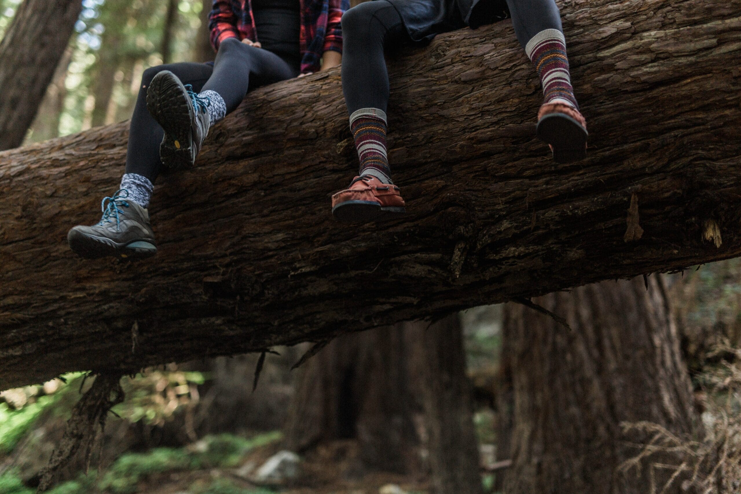 two people sitting on a log