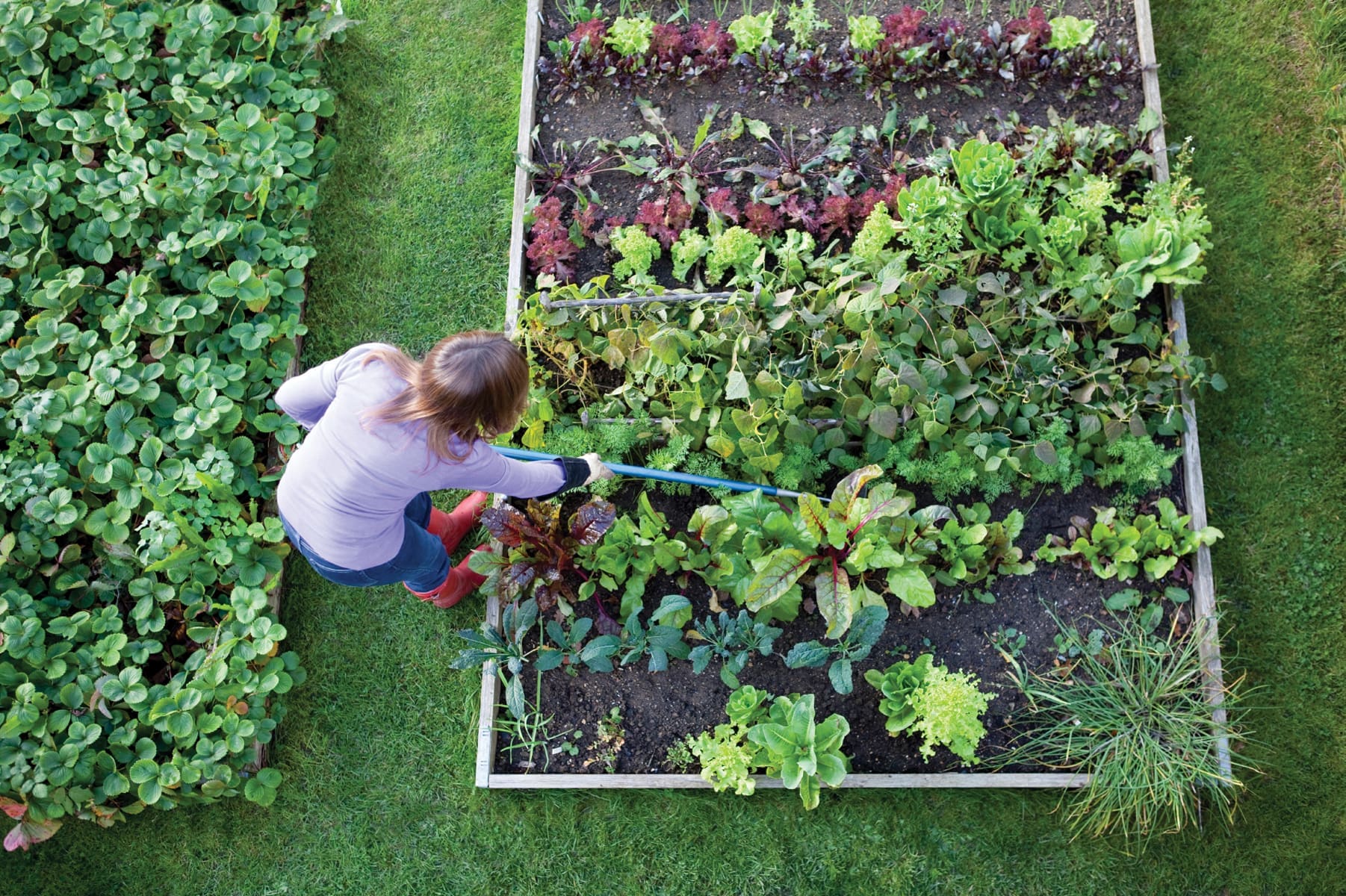Benefits of gardening