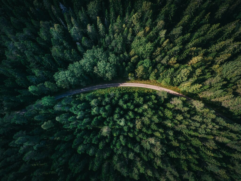 road trip in the mountains