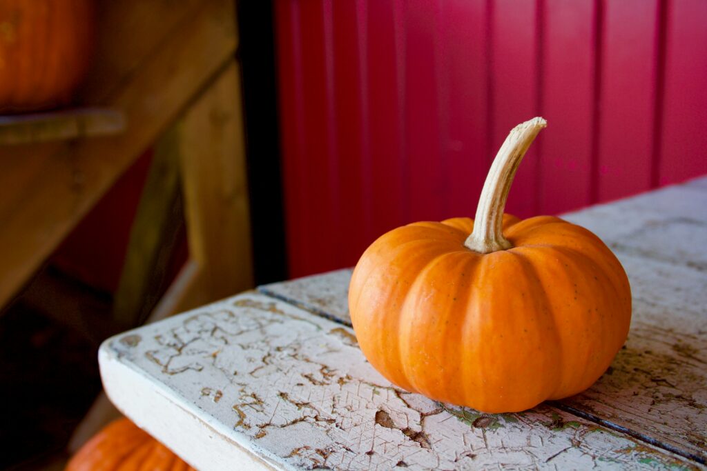 Mini pumpkin on table
